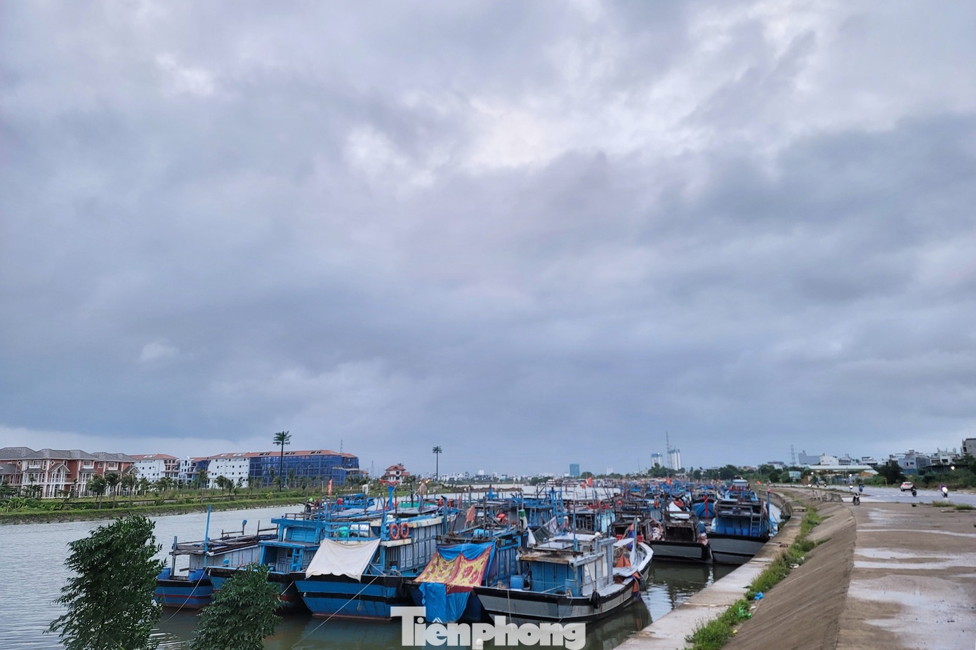 bão số 12 ảnh 11 bao so 12 anh 11