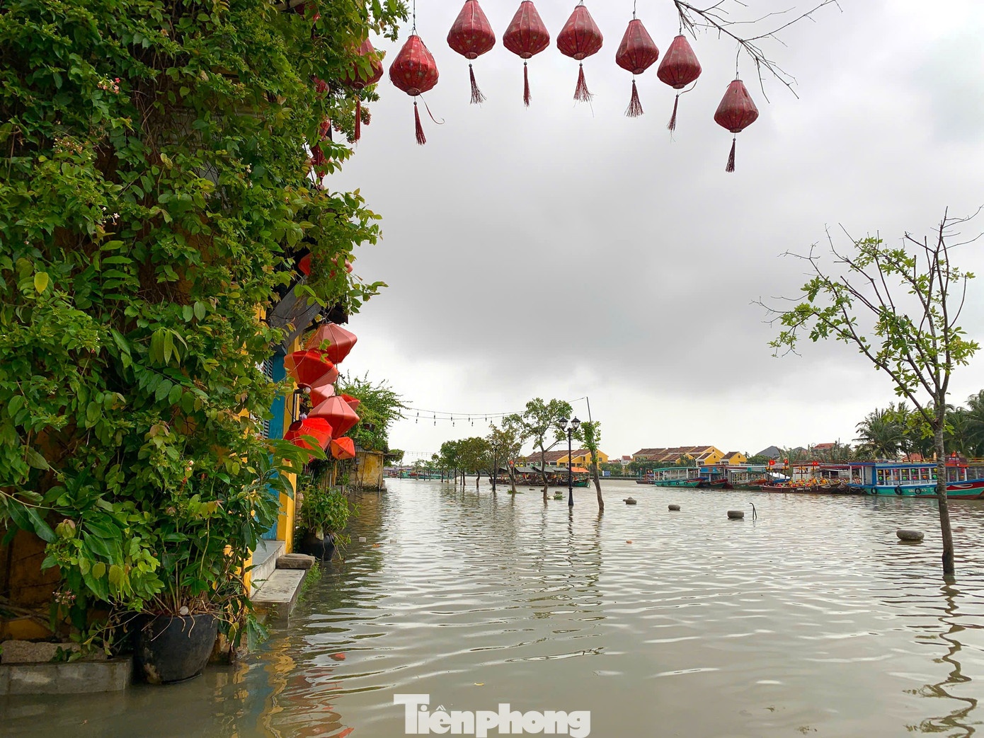 Hoi An anh 9