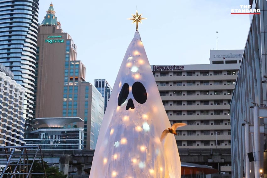 Cay thong 'ma am' o Thai Lan hinh anh