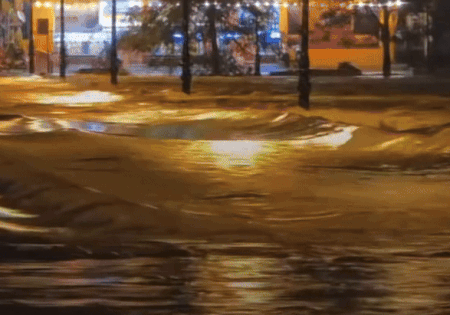 Lu dang cao 'bua vay' Hue hinh anh