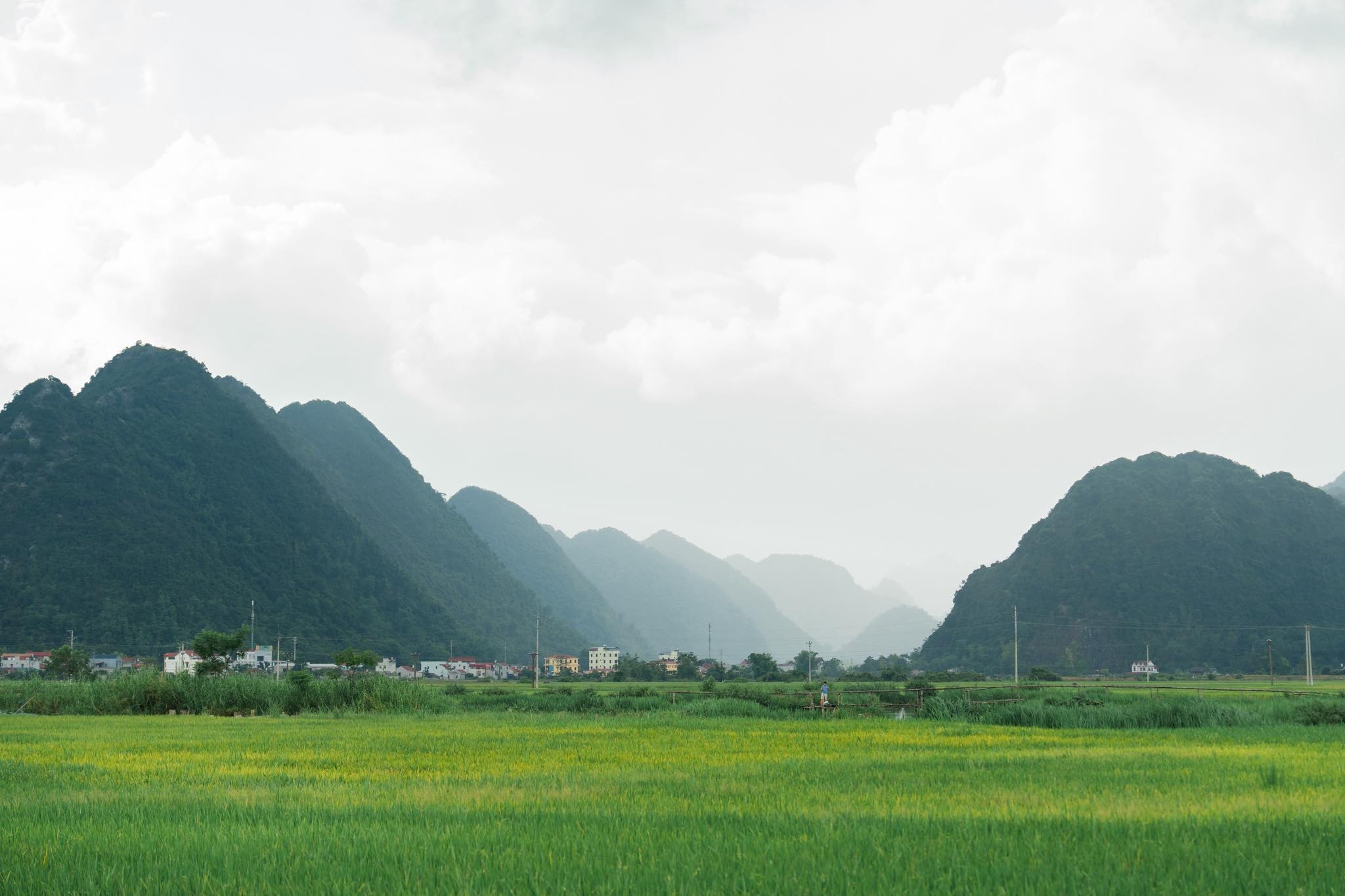 làng Quỳnh Sơn ảnh 2 lang Quynh Son anh 2