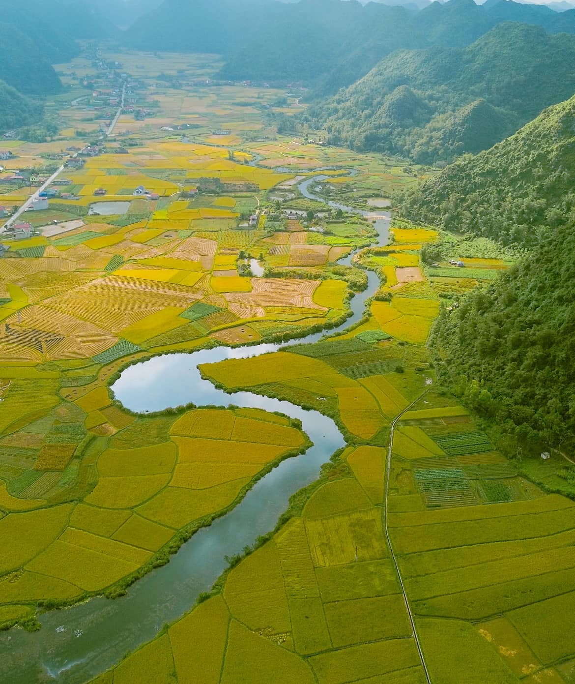 làng Quỳnh Sơn ảnh 5 lang Quynh Son anh 5