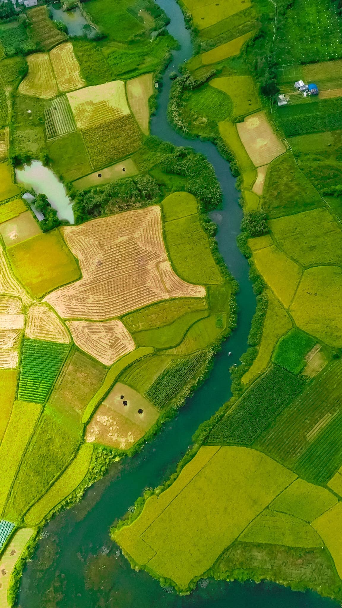 làng Quỳnh Sơn ảnh 6 lang Quynh Son anh 6