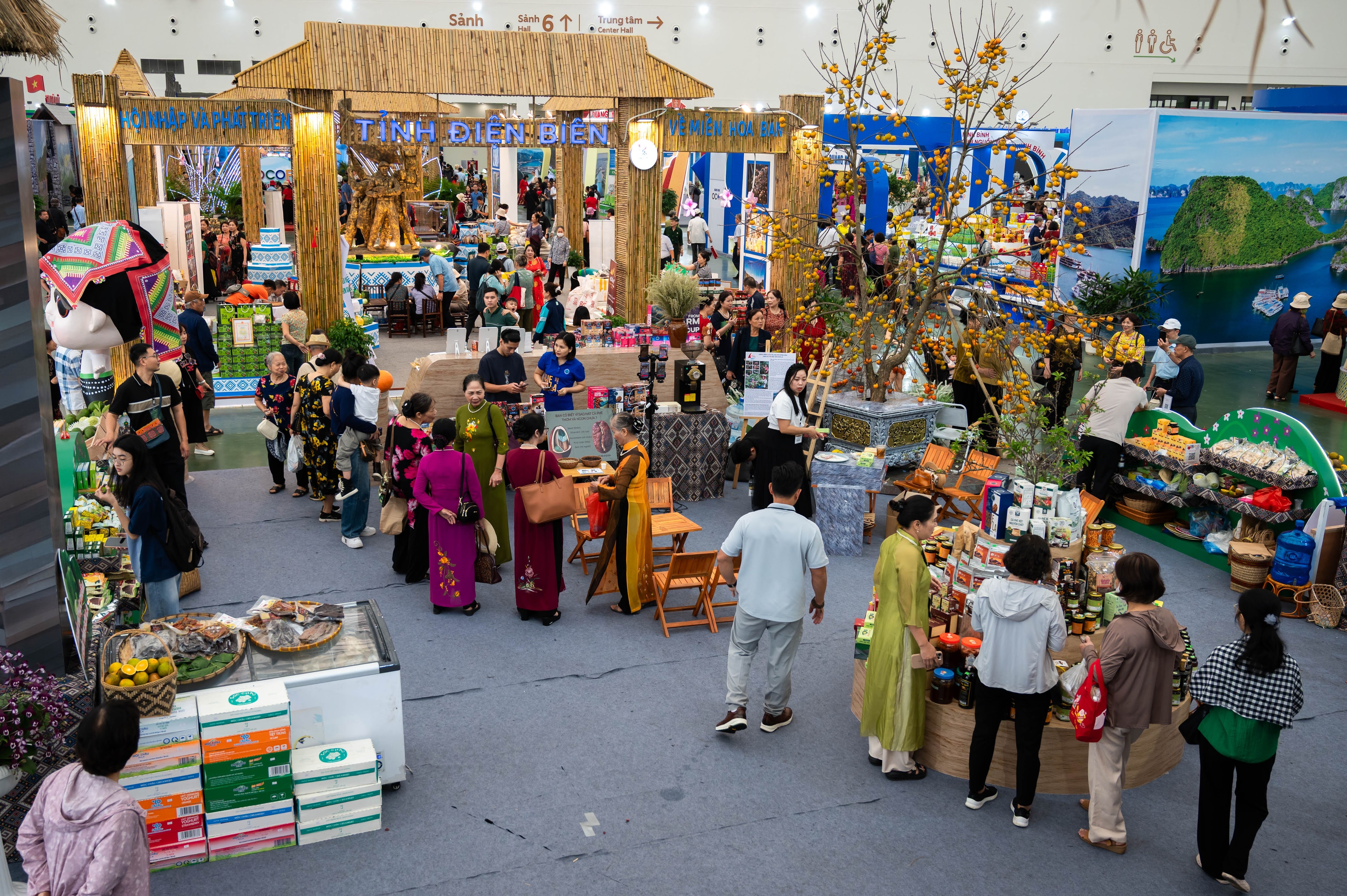 Hoi cho mua thu VEC anh 1