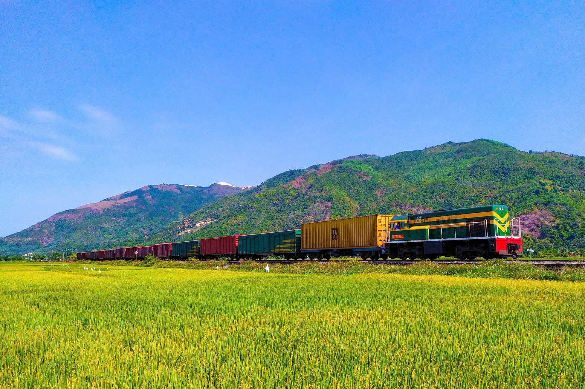 Thong tuyen duong sat Bac - Nam qua Hue sau 3 ngay lu lich su hinh anh