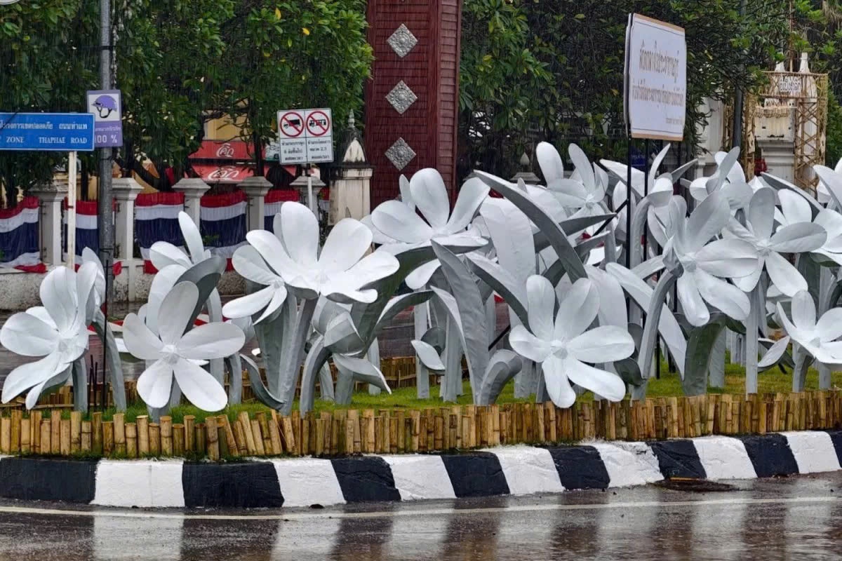 Vuon hoa lien tuc phai doi mau giua quoc tang o Thai Lan hinh anh