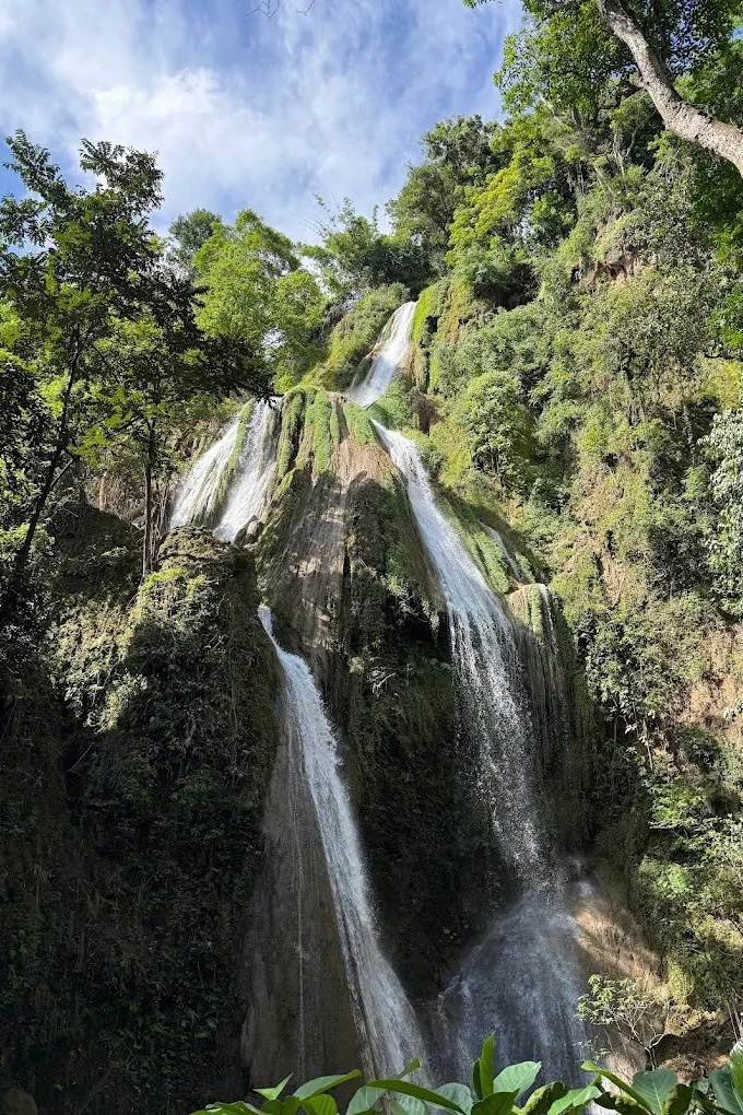 ong sát thủ ảnh 1 ong sat thu anh 1