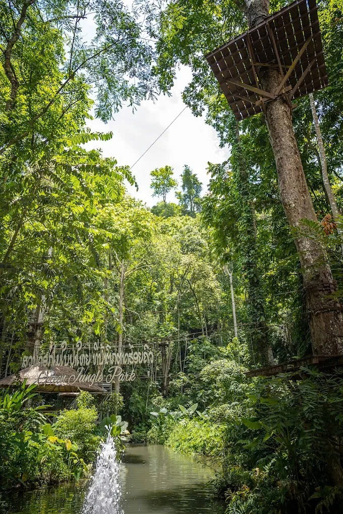 ong sát thủ ảnh 2 ong sat thu anh 2