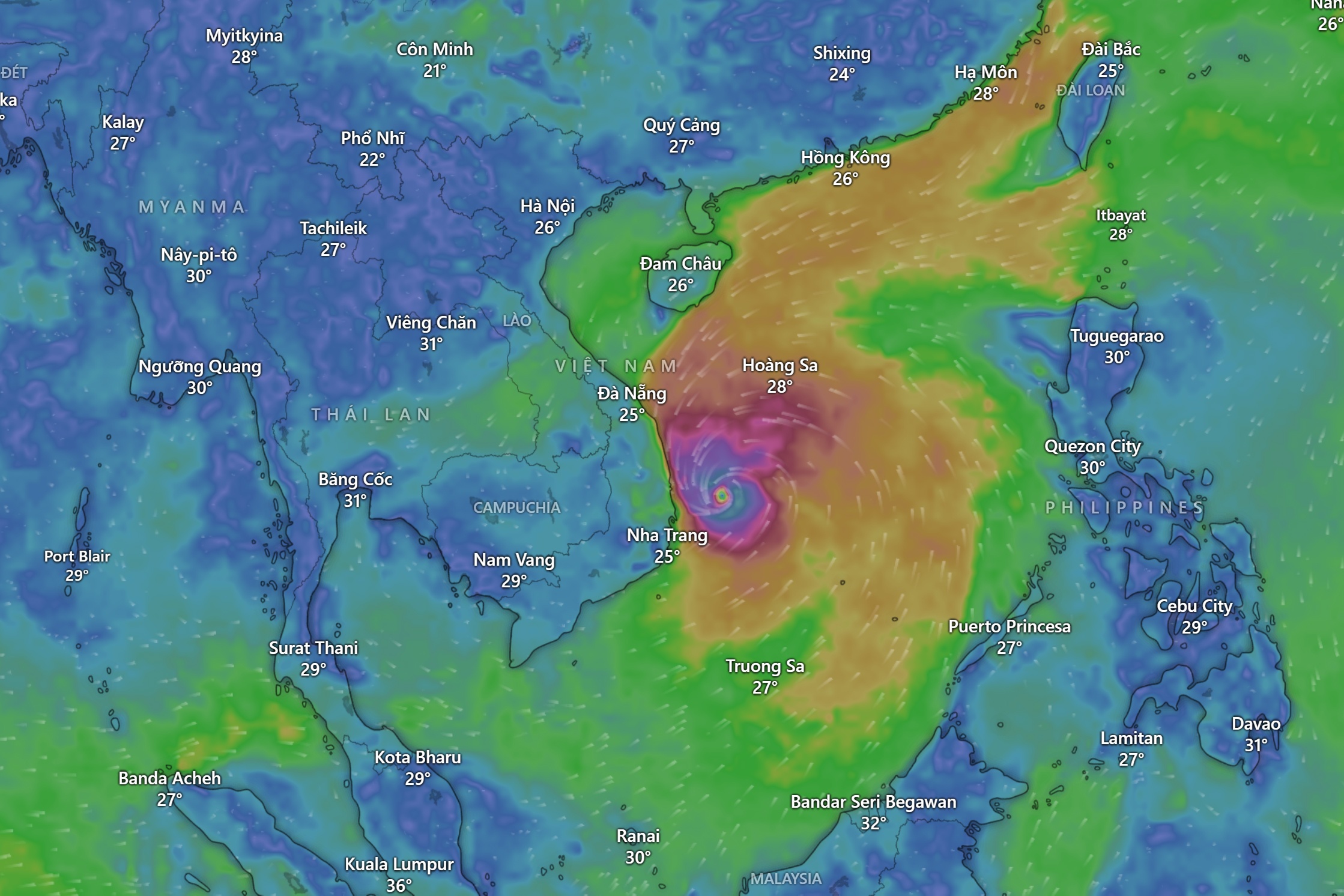 Bao Kalmaegi cuong do rat manh, gio giat cap 15 truoc khi do bo hinh anh