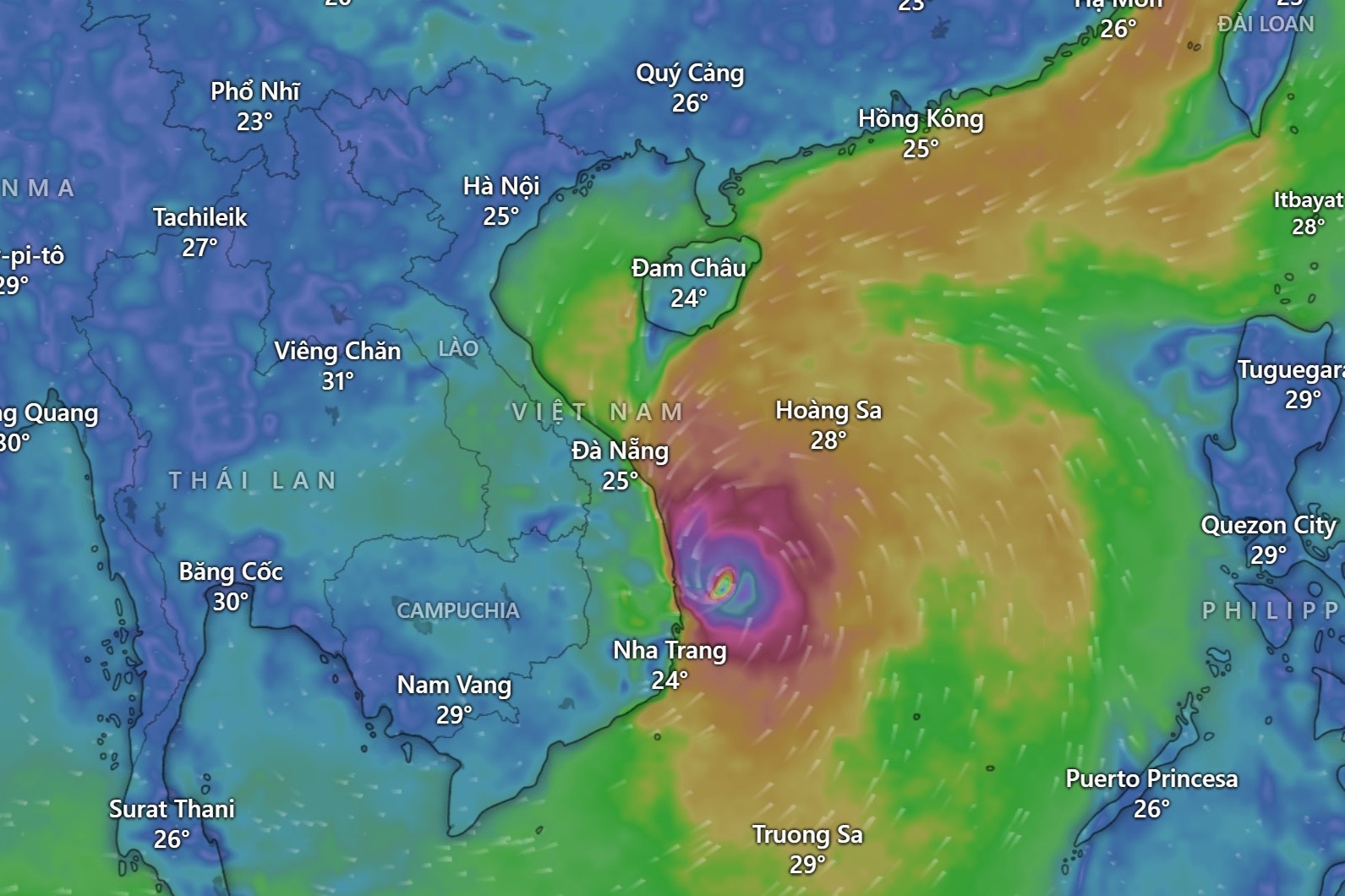 Bien Quy Nhon noi song, nuoc dang cao nguy hiem hinh anh