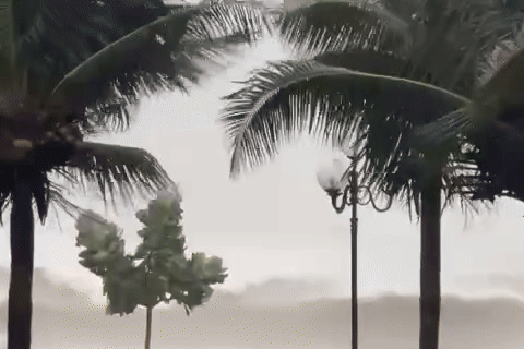 Bien Quy Nhon noi song, bao Kalmaegi da vao bien Quang Ngai - Dak Lak hinh anh