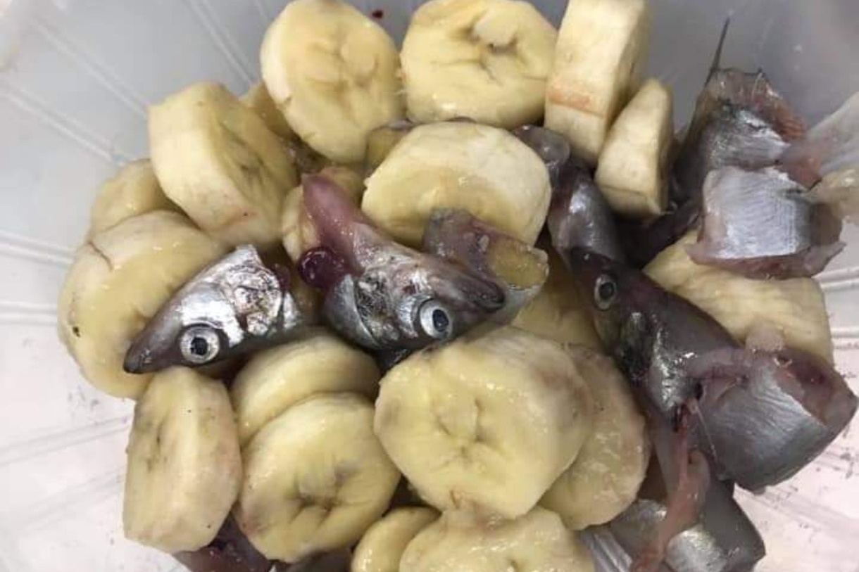 Thuc hu buc anh bua an chuoi va ca cua Ronaldo hinh anh