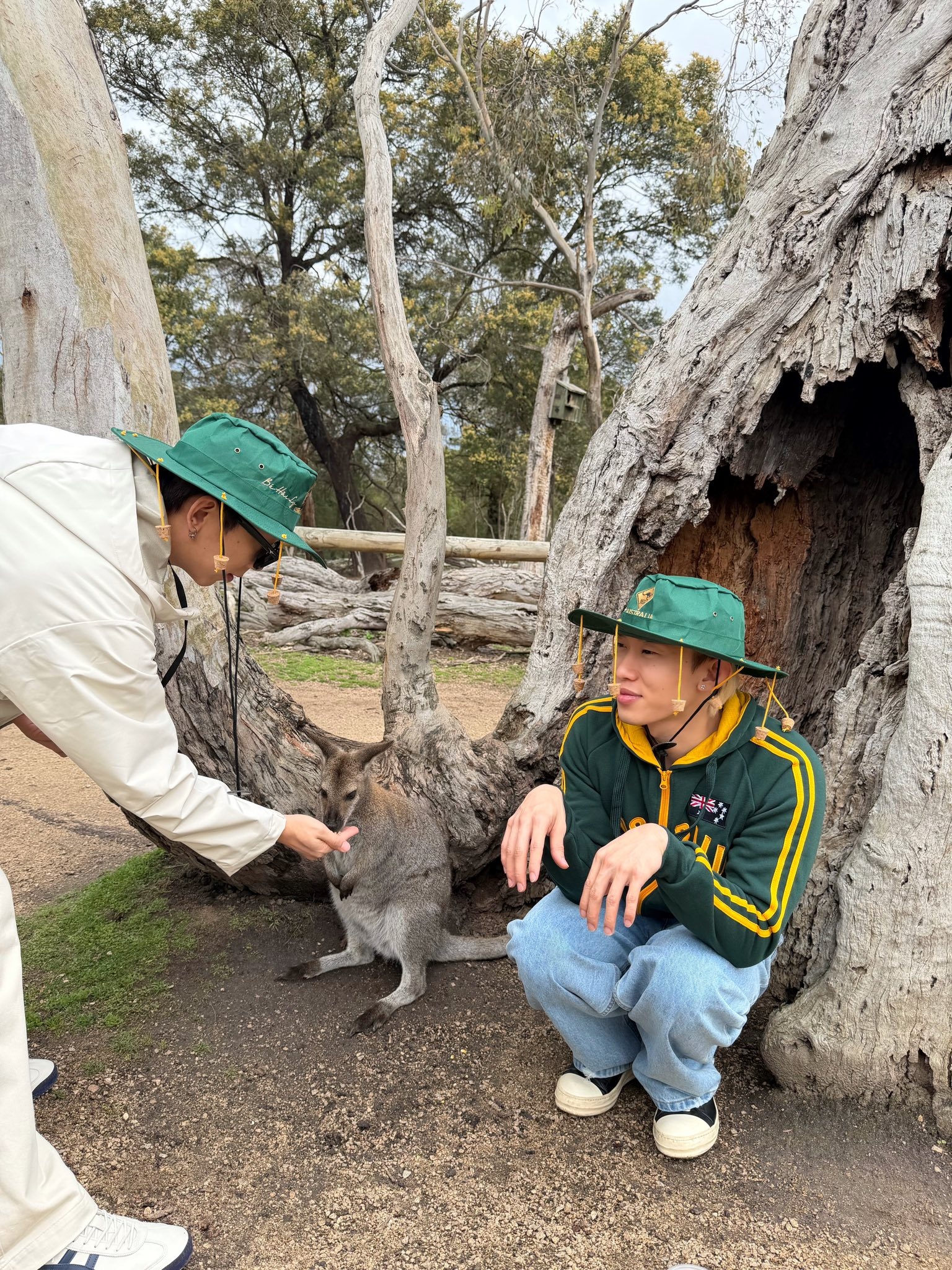 Thao Cam Vien anh 12