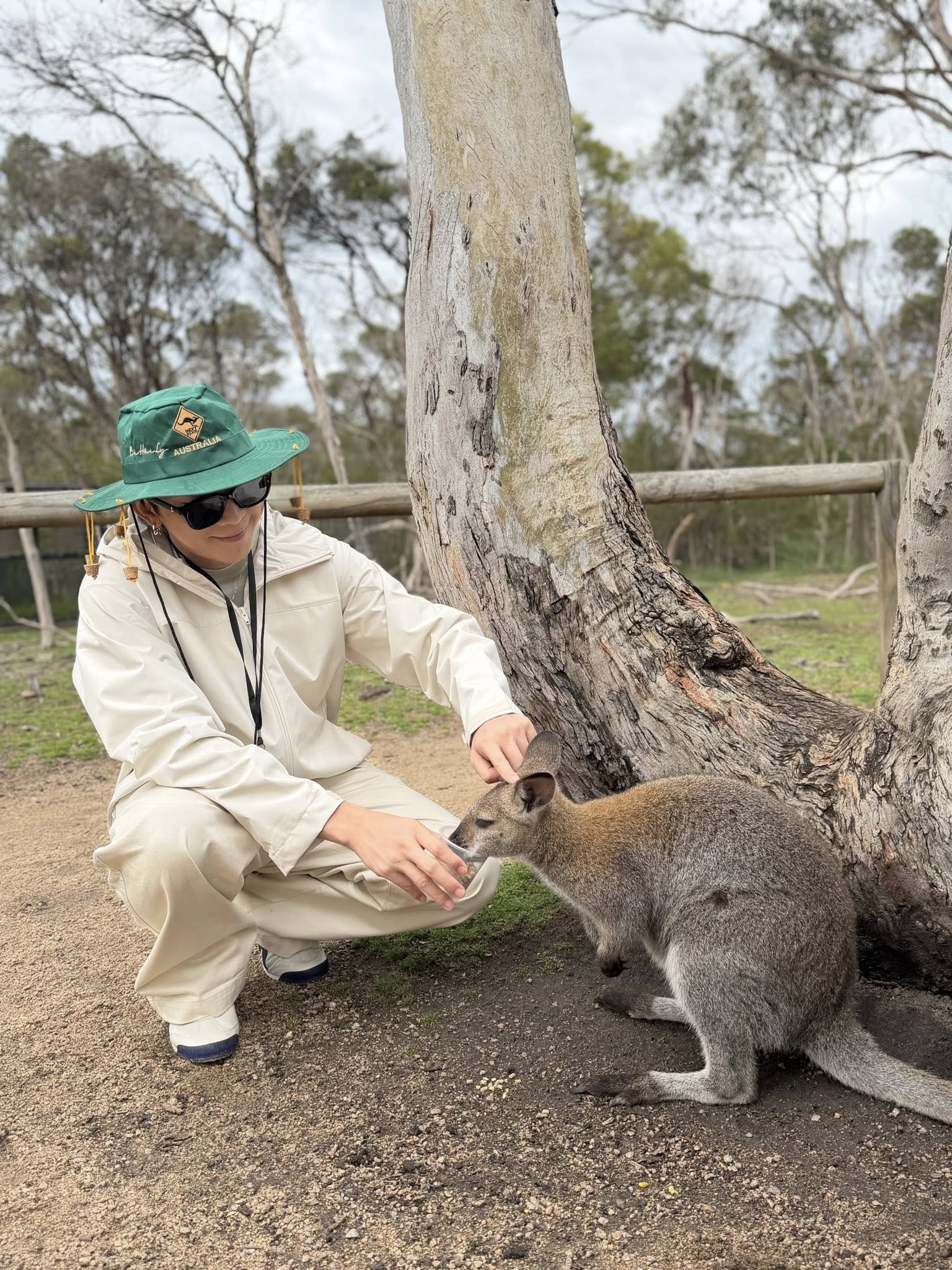 Thao Cam Vien anh 10