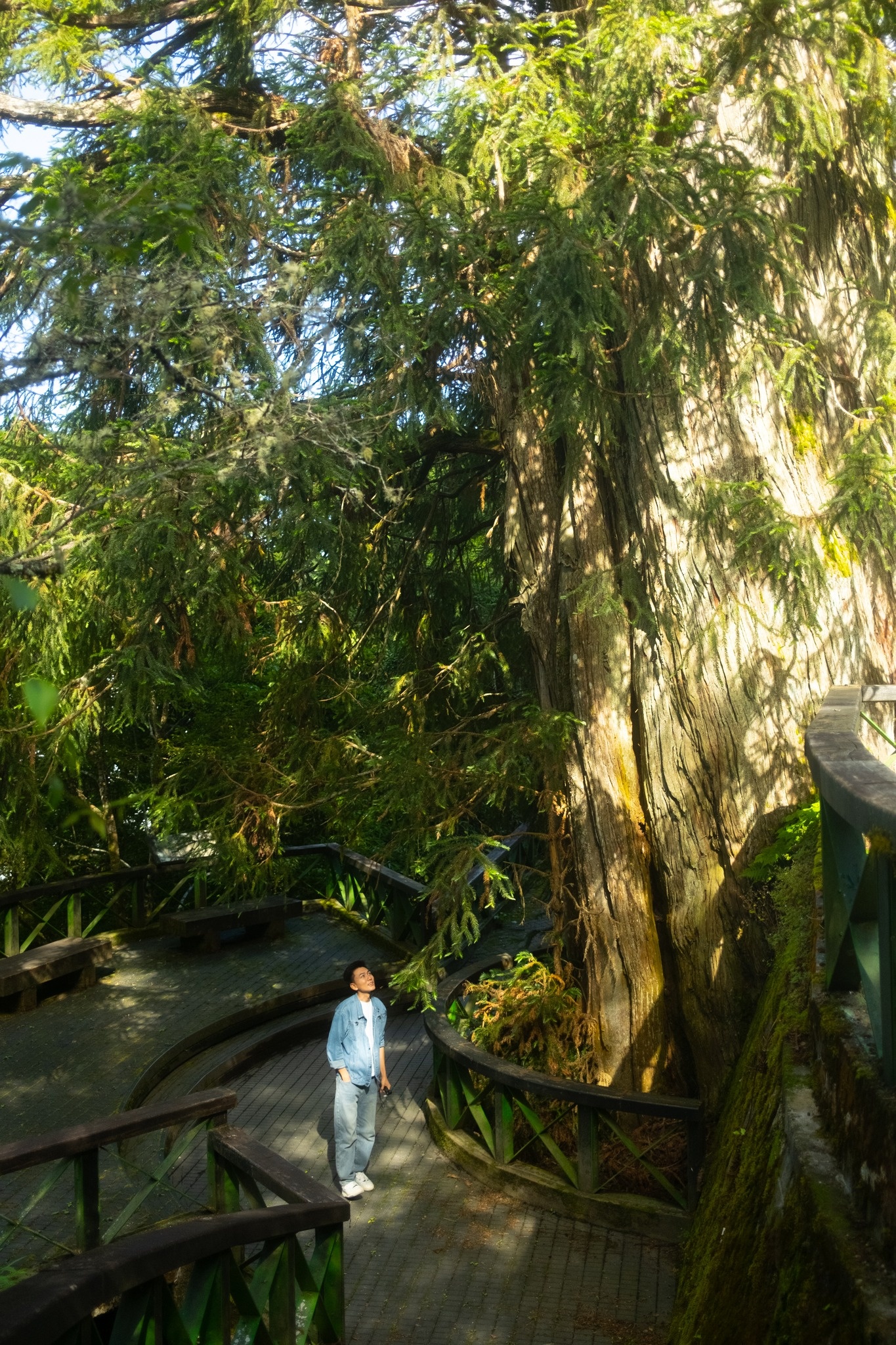 Khoai Lang Thang anh 3