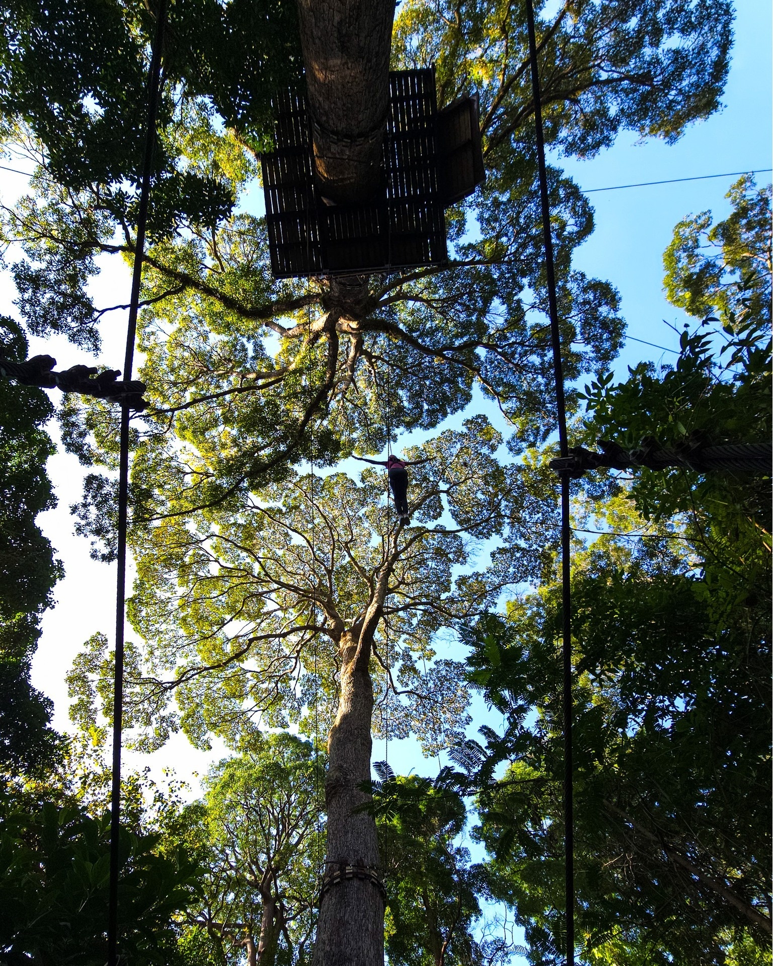 Miss Universe Huong Giang anh 4