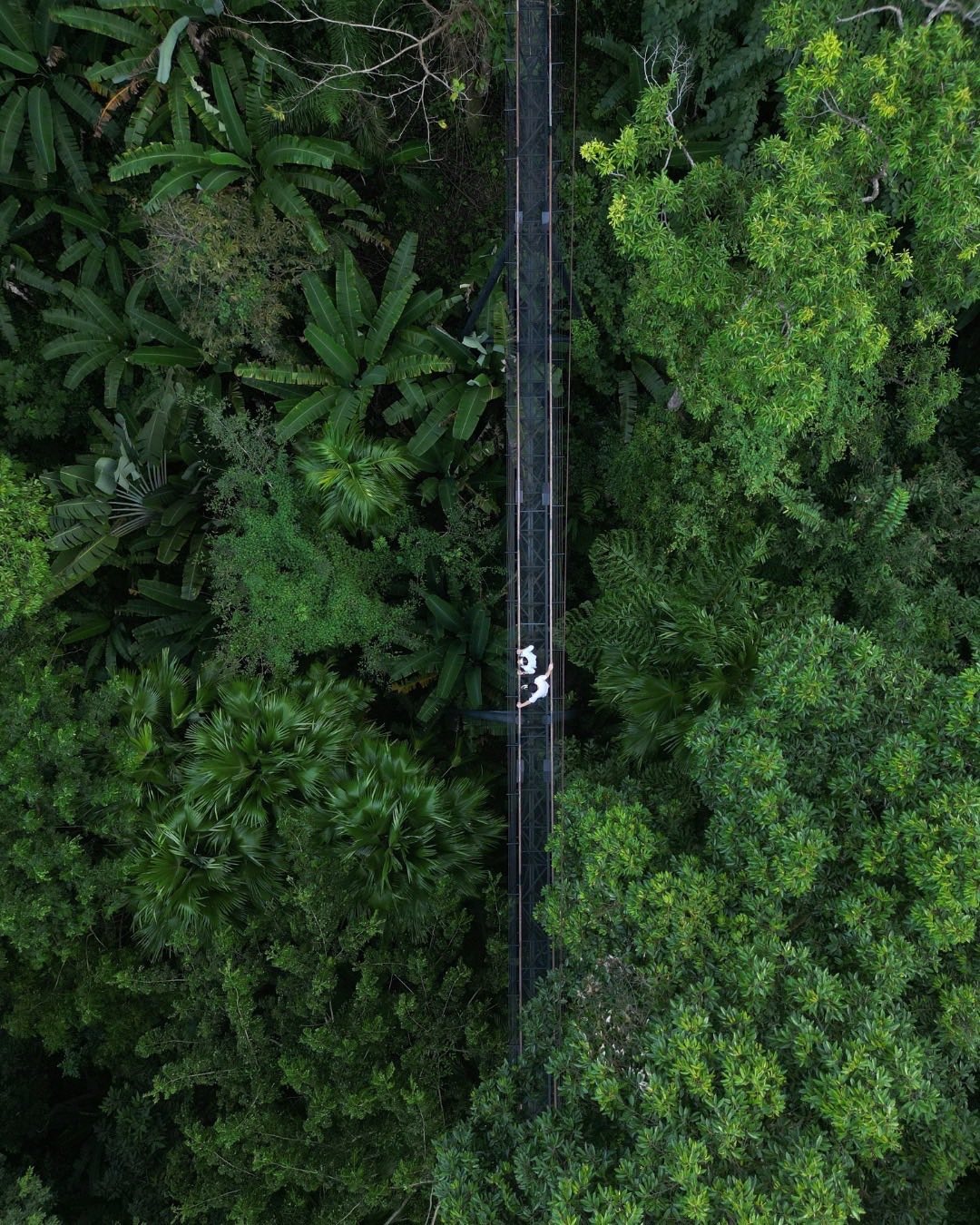 Miss Universe Huong Giang anh 7