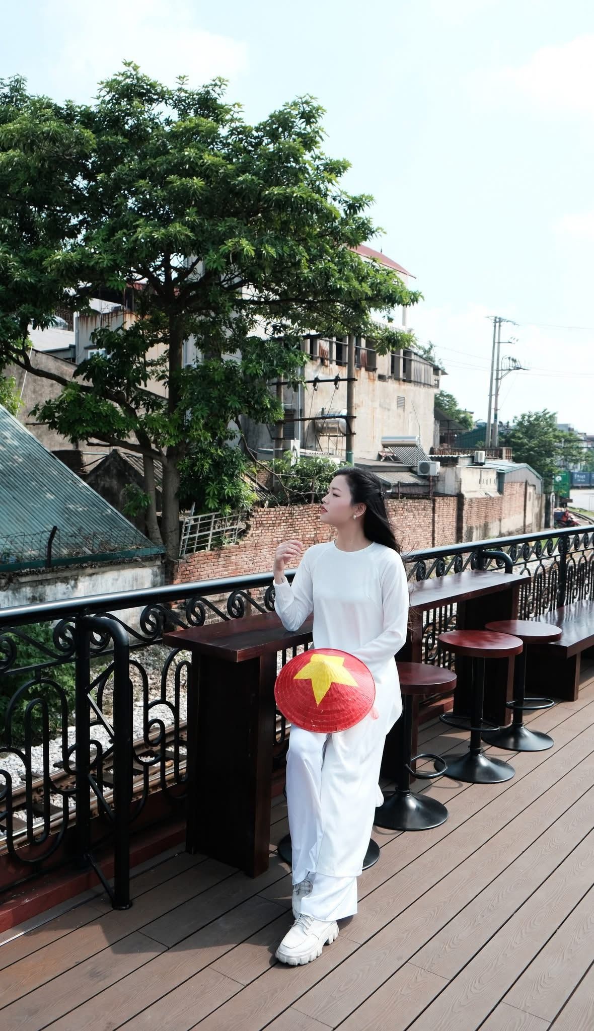 The Hanoi Train ảnh 9 The Hanoi Train anh 9