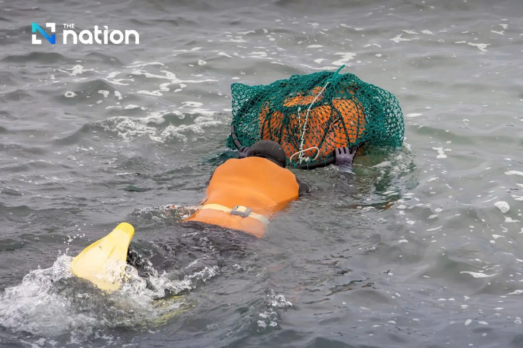 済州島海南島の写真3 hai nu dao Jeju anh 3