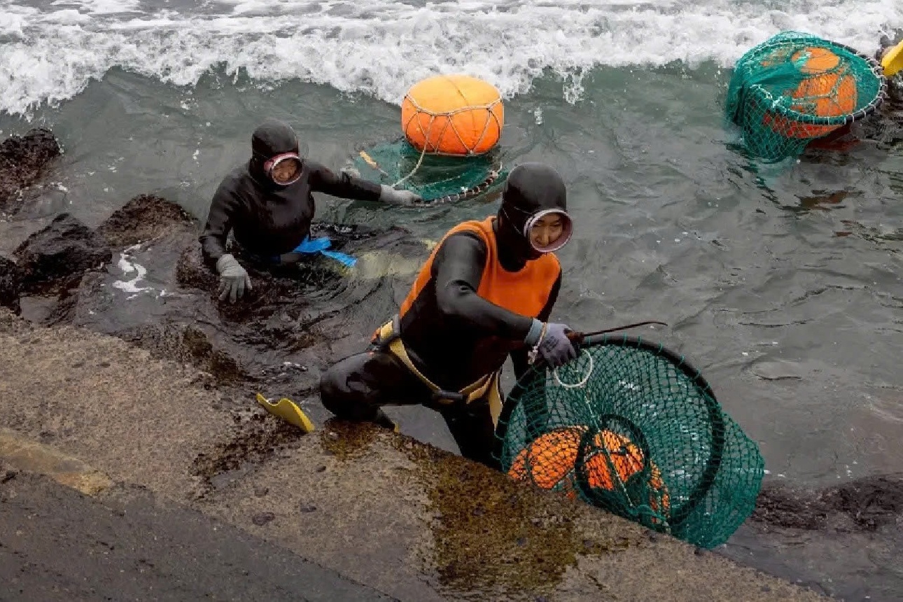 Cu lan cuoi cung cua 'nhung nang tien ca' Jeju hinh anh