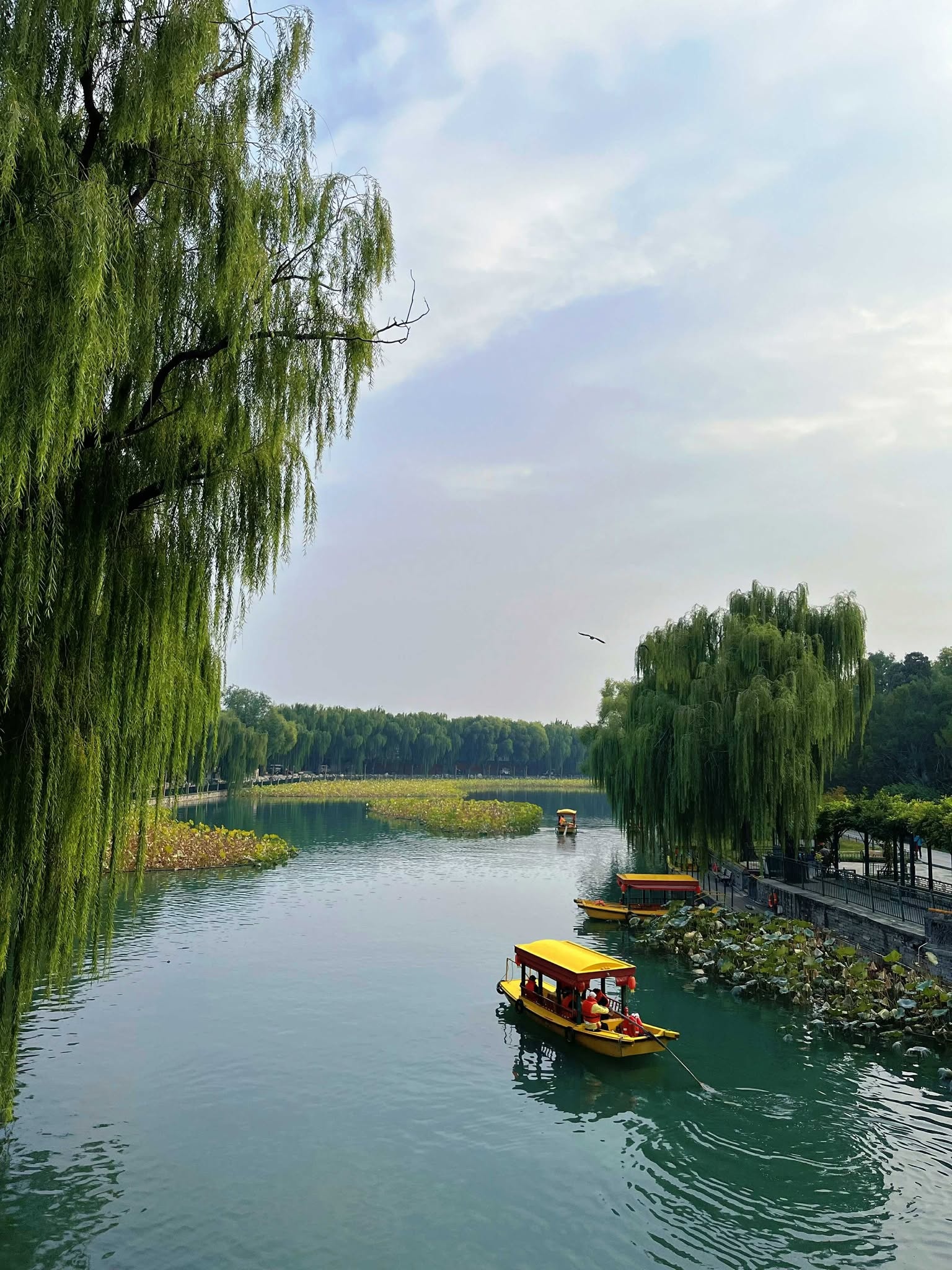 Hoa Than,  du lich Trung Quoc,  Tu Cam Thanh anh 6