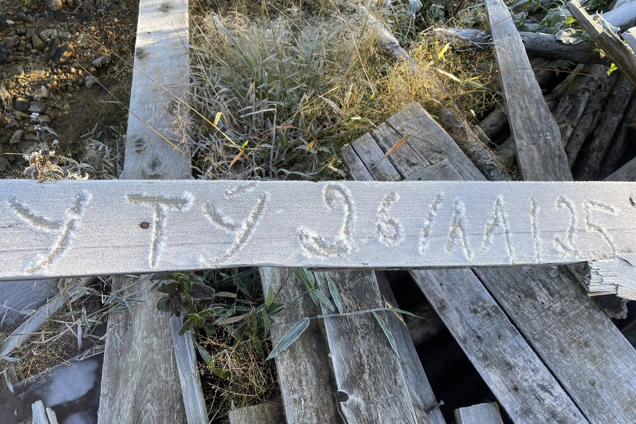 Bang gia phu trang o Y Ty hinh anh