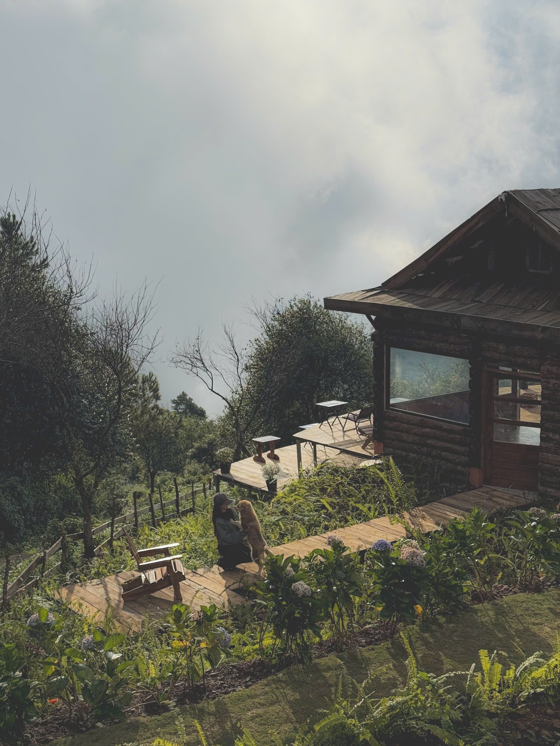 Ta Xua, ຮູບ 10 ມຸງ Ta Xua, mai nha anh 10