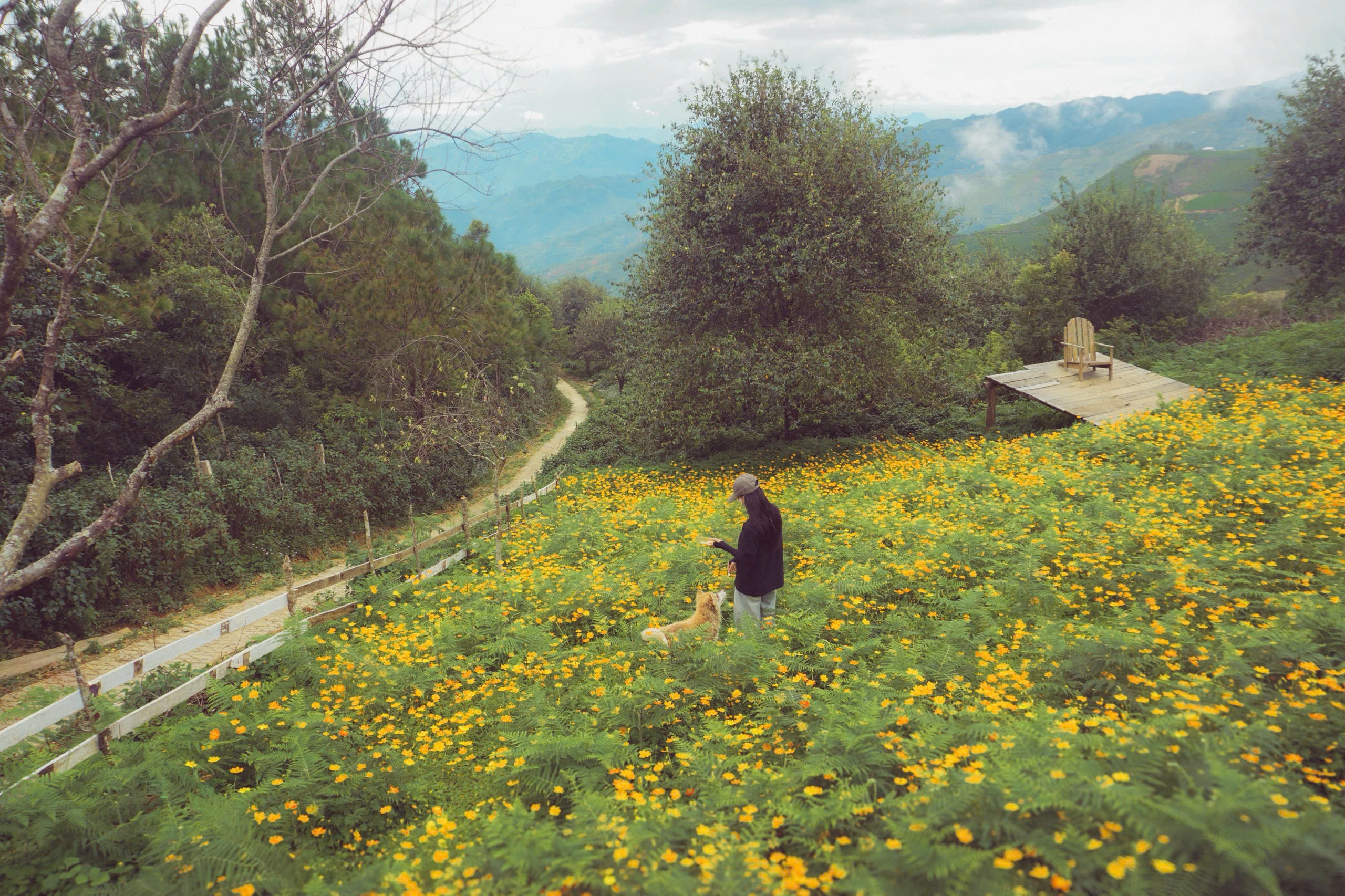 Ta Xua, ຮູບ 12 ຫລັງຄາ Ta Xua, mai nha anh 12