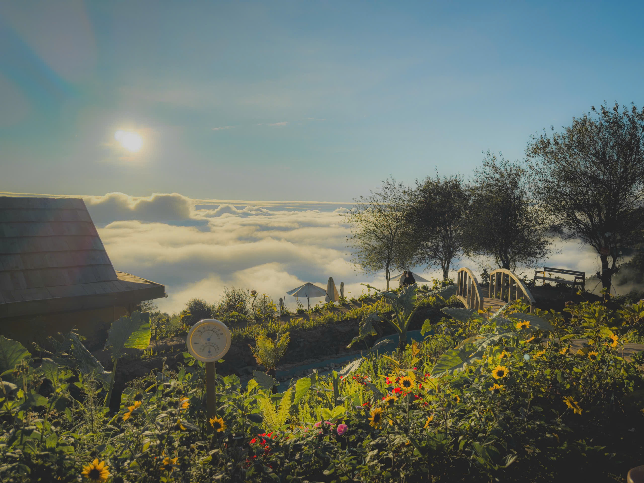 ຕາແສງ, ຮູບພາບ 7 Ta Xua, mai nha anh 7