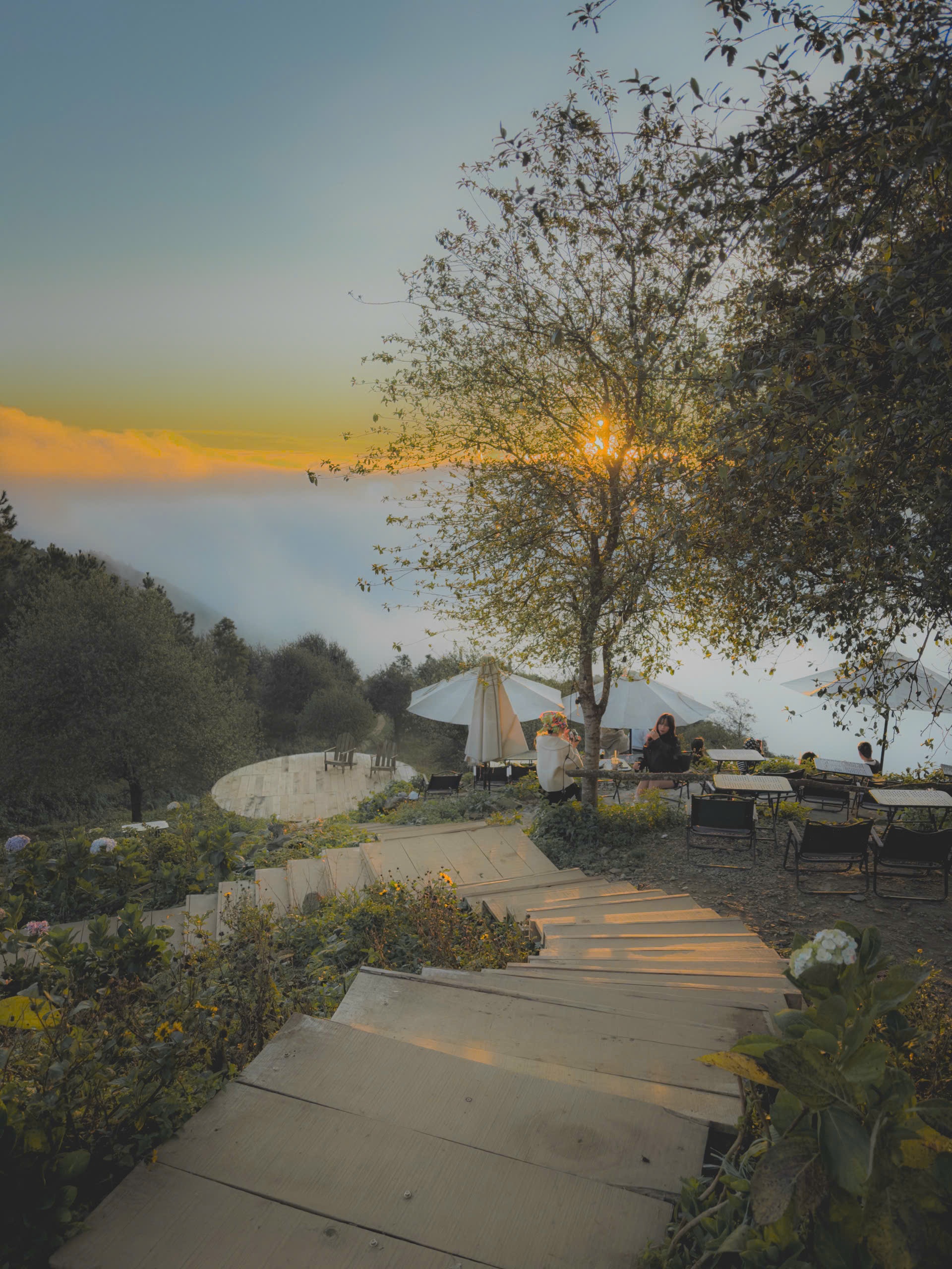 Ta Xua, ຮູບ 9 ຫລັງຄາ Ta Xua, mai nha anh 9