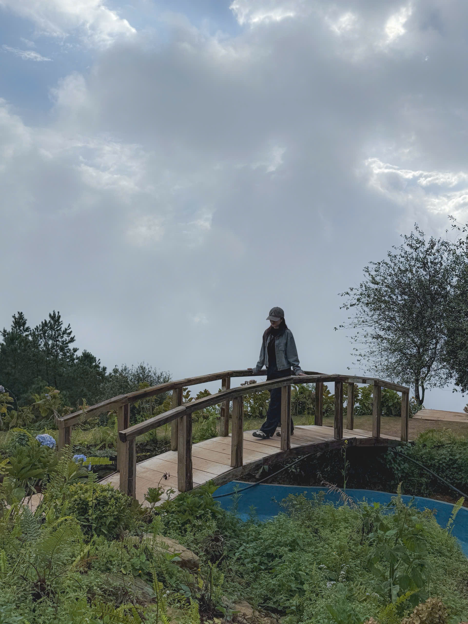 Ta Xua, ຮູບ 11 ຫລັງຄາ Ta Xua, mai nha anh 11