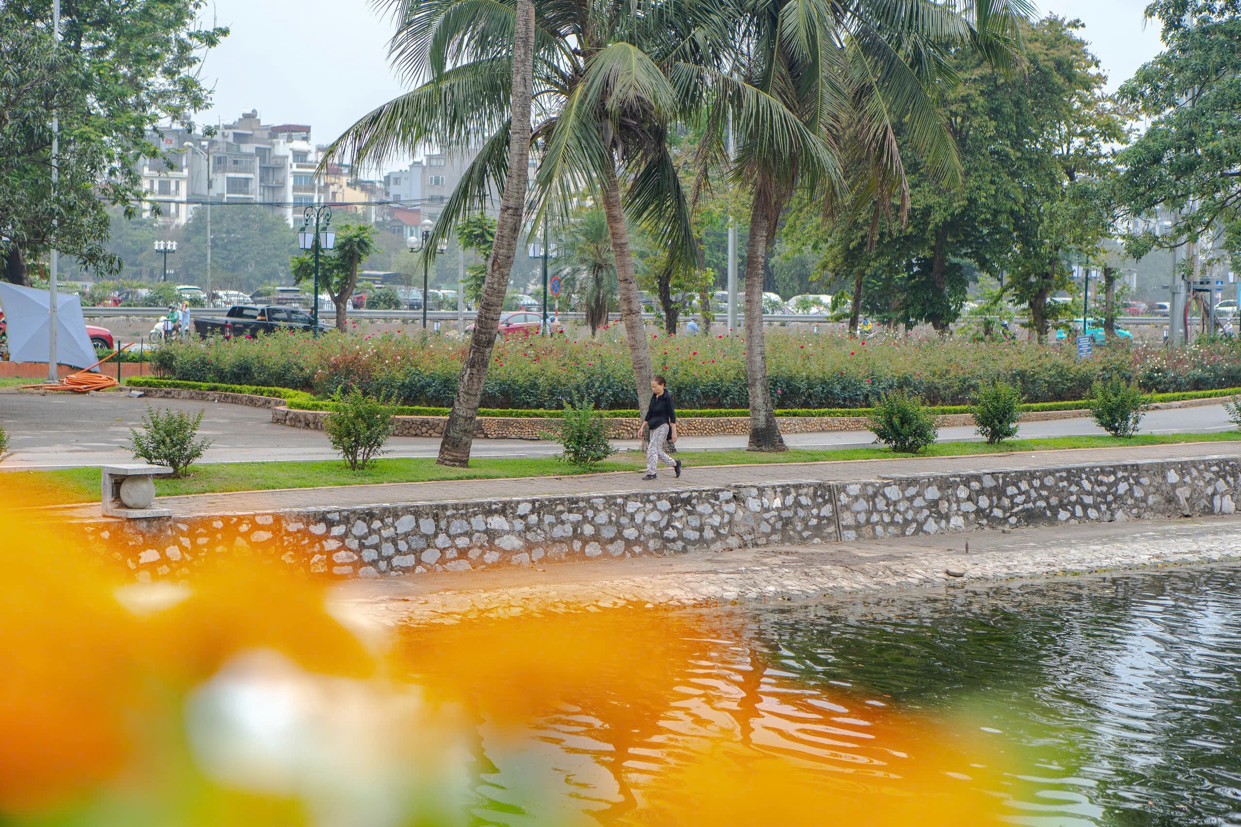 Công viên ảnh 2 Cong vien anh 2