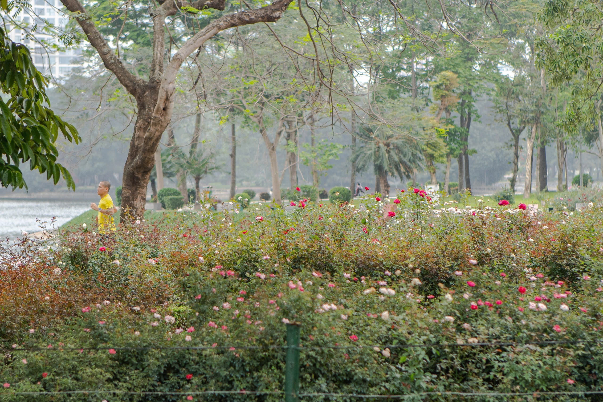 Công viên ảnh 5 Cong vien anh 5