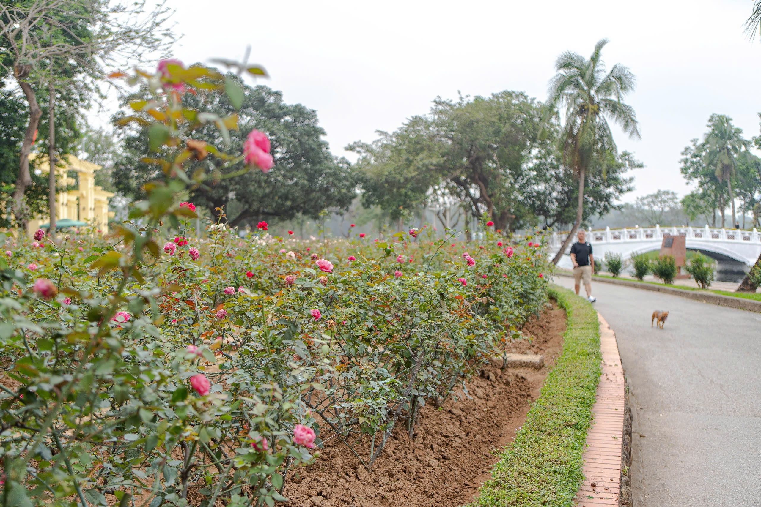 Công viên ảnh 4 Cong vien anh 4