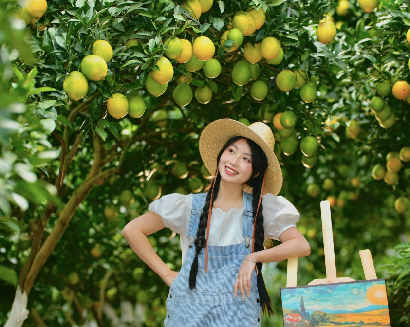 Vuon cam,  Moc Chau anh 9