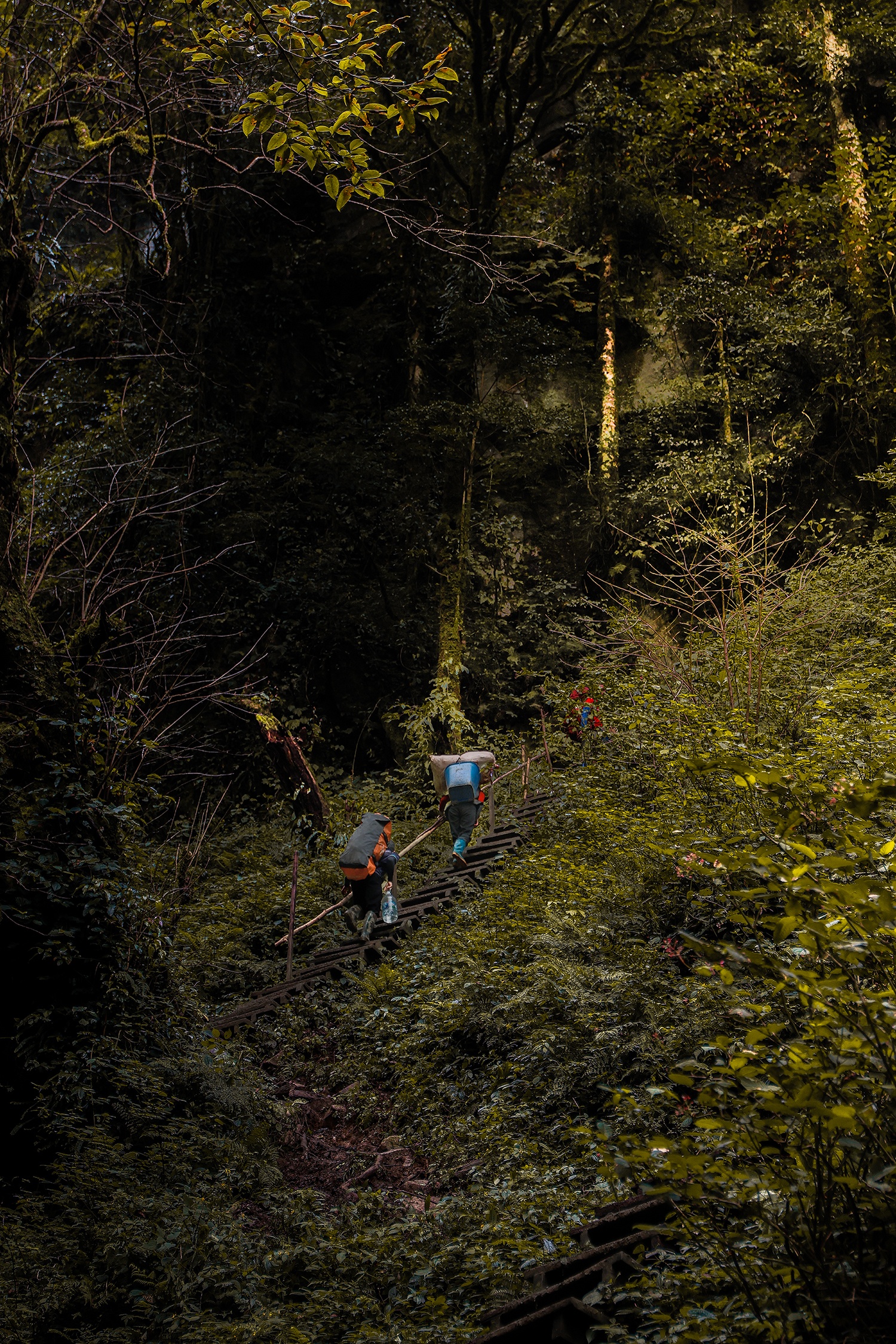 កំពូលភ្នំដងរែក, Lung Cung photo ៧ dinh Lung Cung, Lung Cung anh 7
