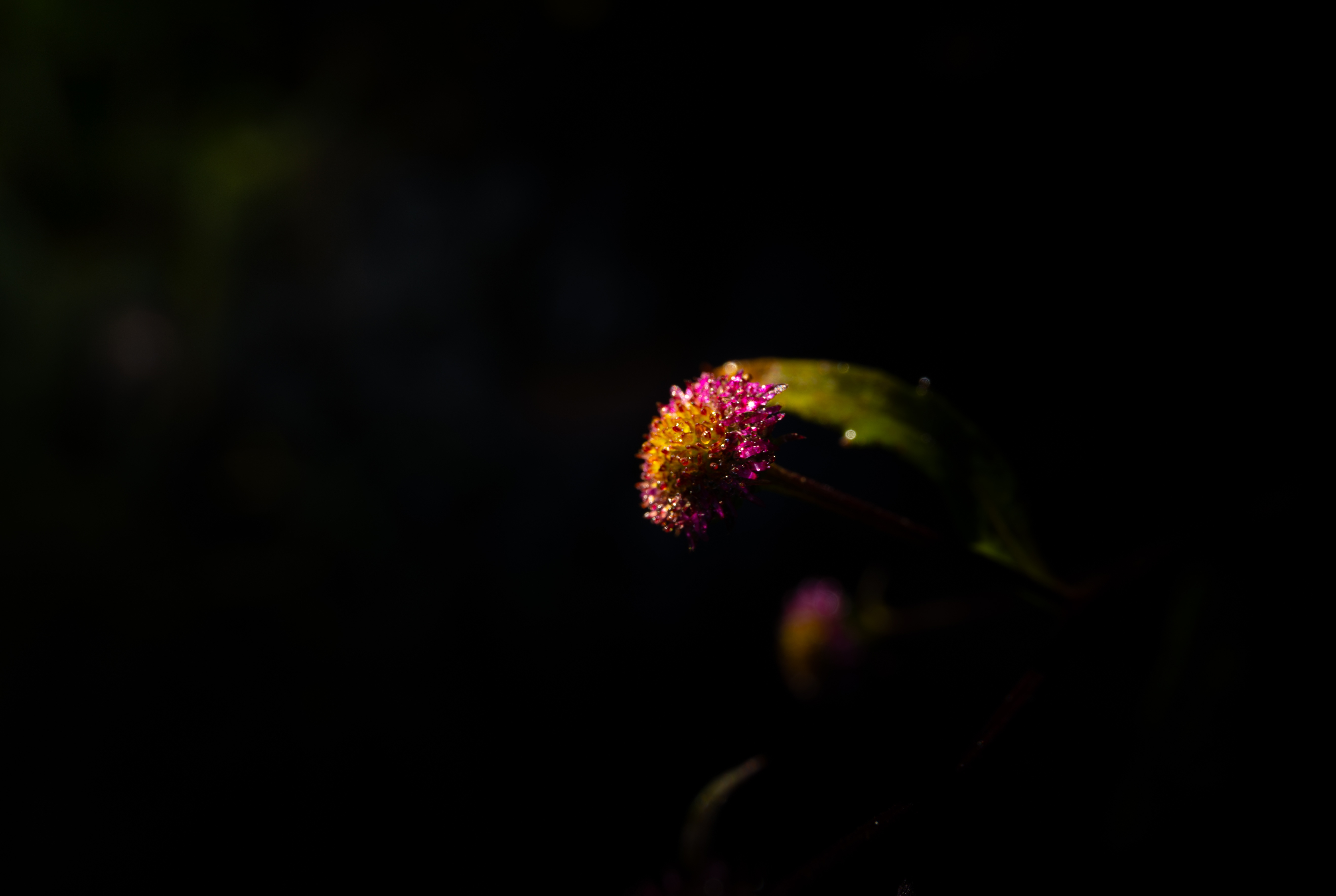 កំពូលភ្នំដងរែក, Lung Cung រូបថត ៣ dinh Lung Cung, Lung Cung anh 3