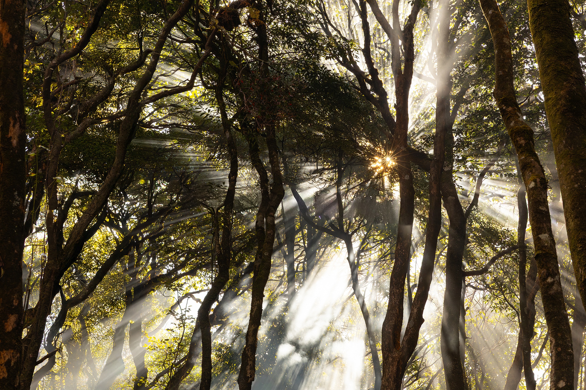 កំពូលភ្នំដងរែក, Lung Cung រូបថត ៥ dinh Lung Cung, Lung Cung anh 5