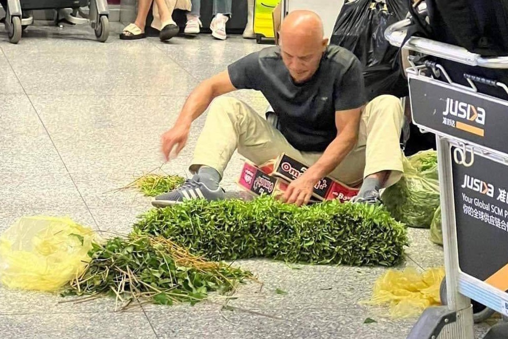 Thuc hu 'ong Tay' ngoi nhat rau muong giua san bay Noi Bai hinh anh