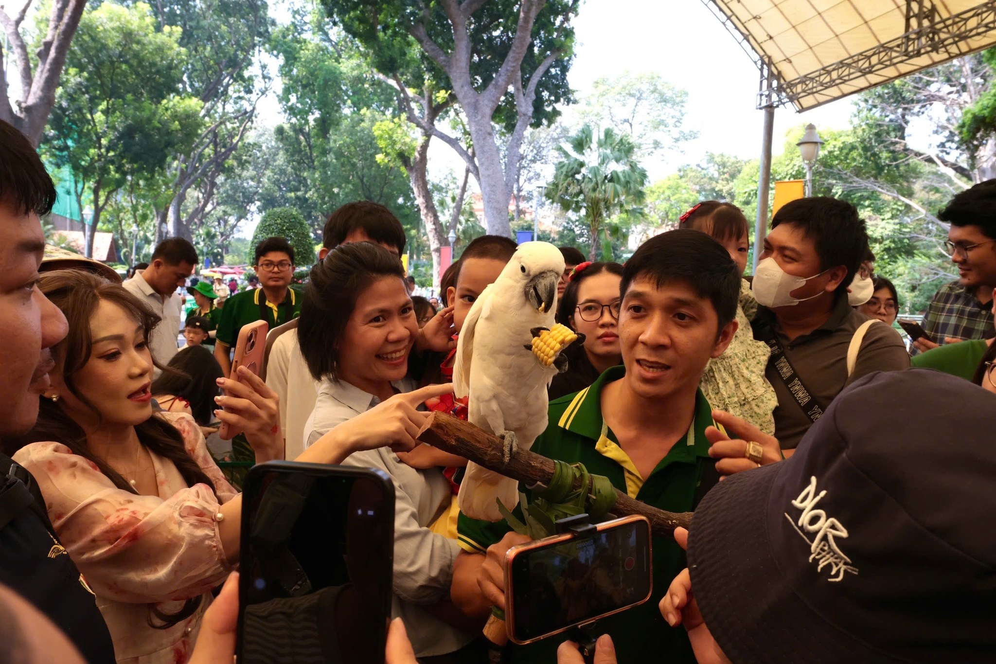 Ζωολογικός κήπος, συνάντηση οπαδών, φωτογραφία 4 του Μίκα Thao Cam Vien, fan meeting, Mika anh 4