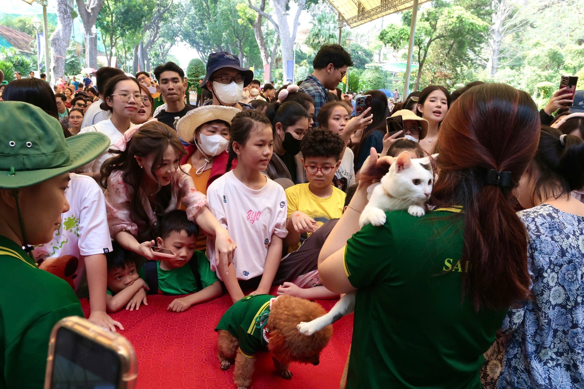 Ζωολογικός κήπος, συνάντηση οπαδών, φωτογραφία Mika 3 Thao Cam Vien, fan meeting, Mika anh 3