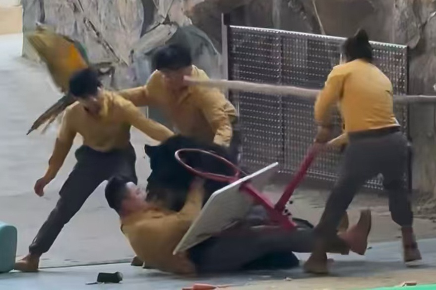 Gau tan cong nhan vien tai so thu Trung Quoc thoi bung tranh cai hinh anh