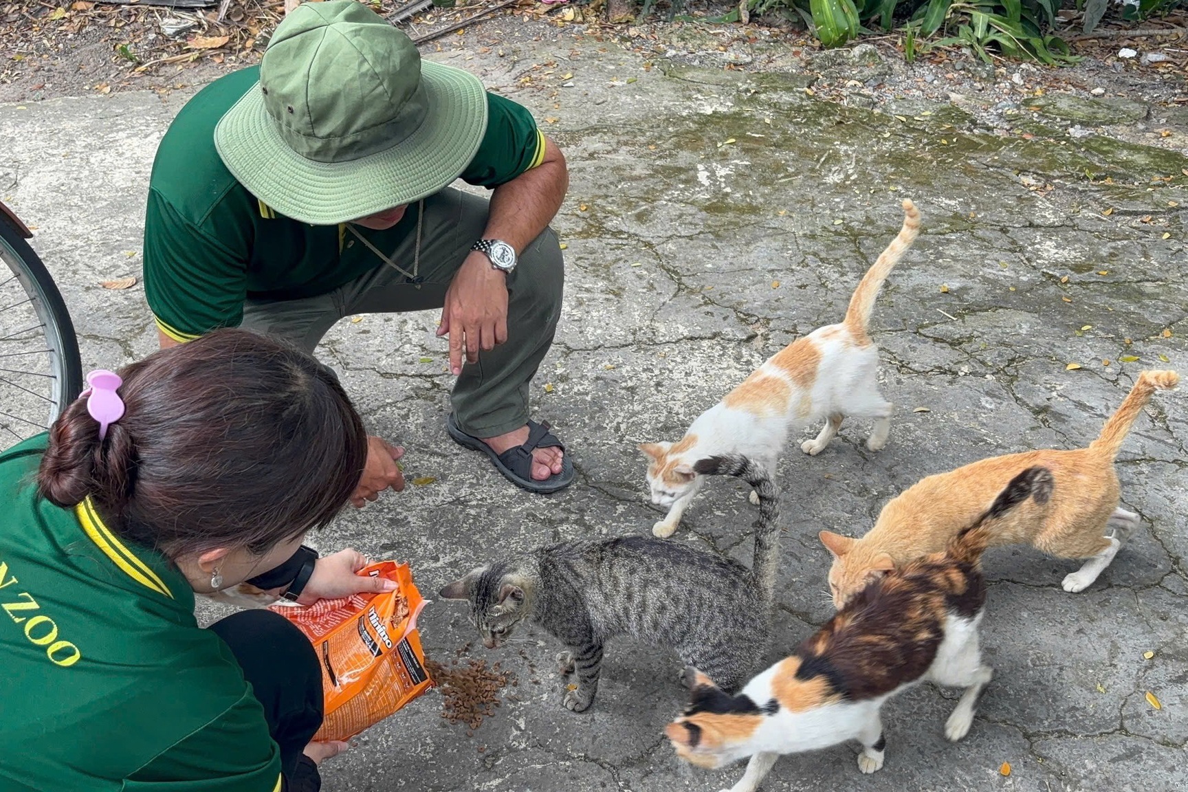 Thao Cam Vien,  Mika,  meo anh 3