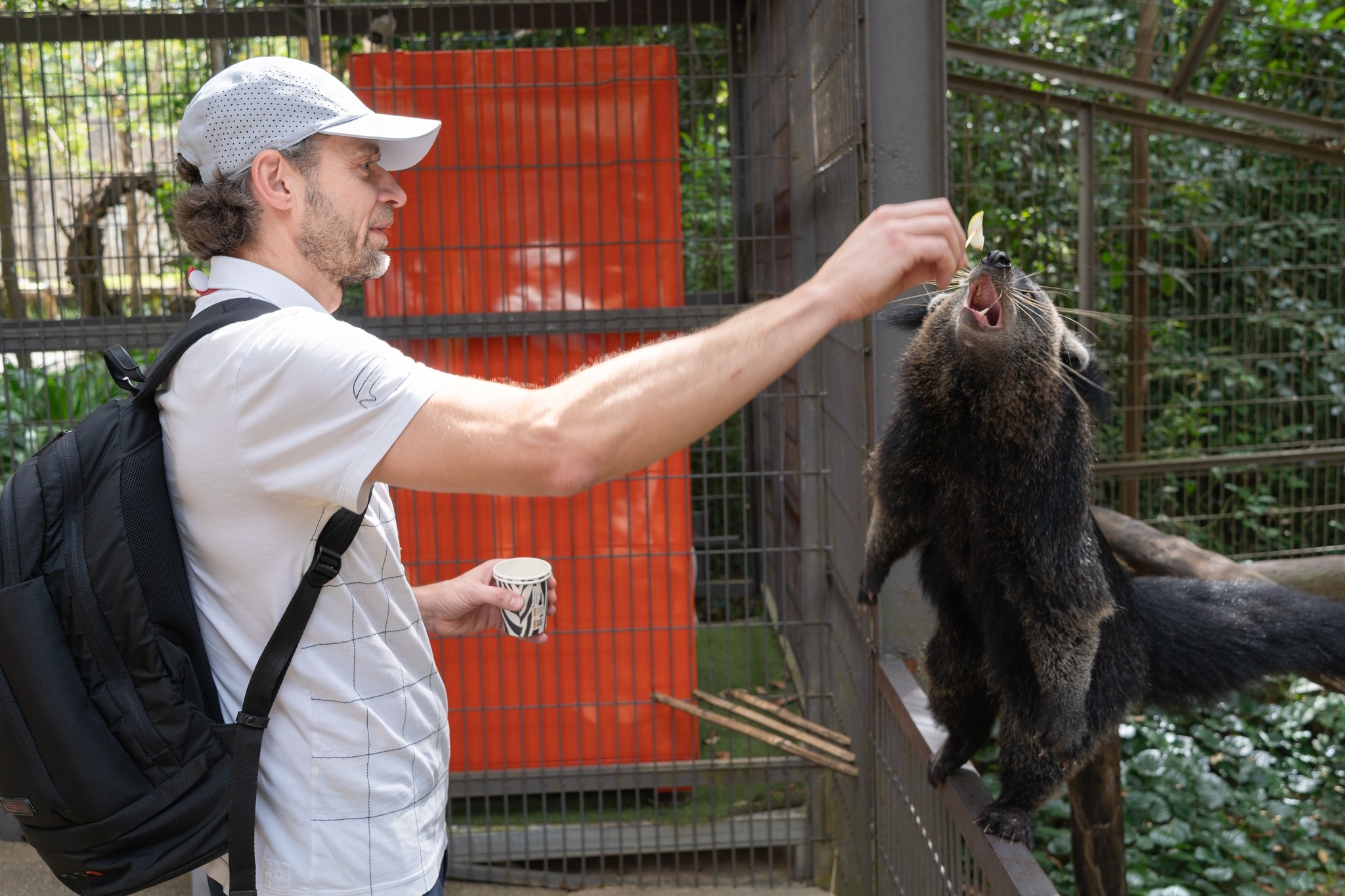 thứ 20 triệu, Phú Quốc ảnh 4 thu 20 trieu, Phu Quoc anh 4