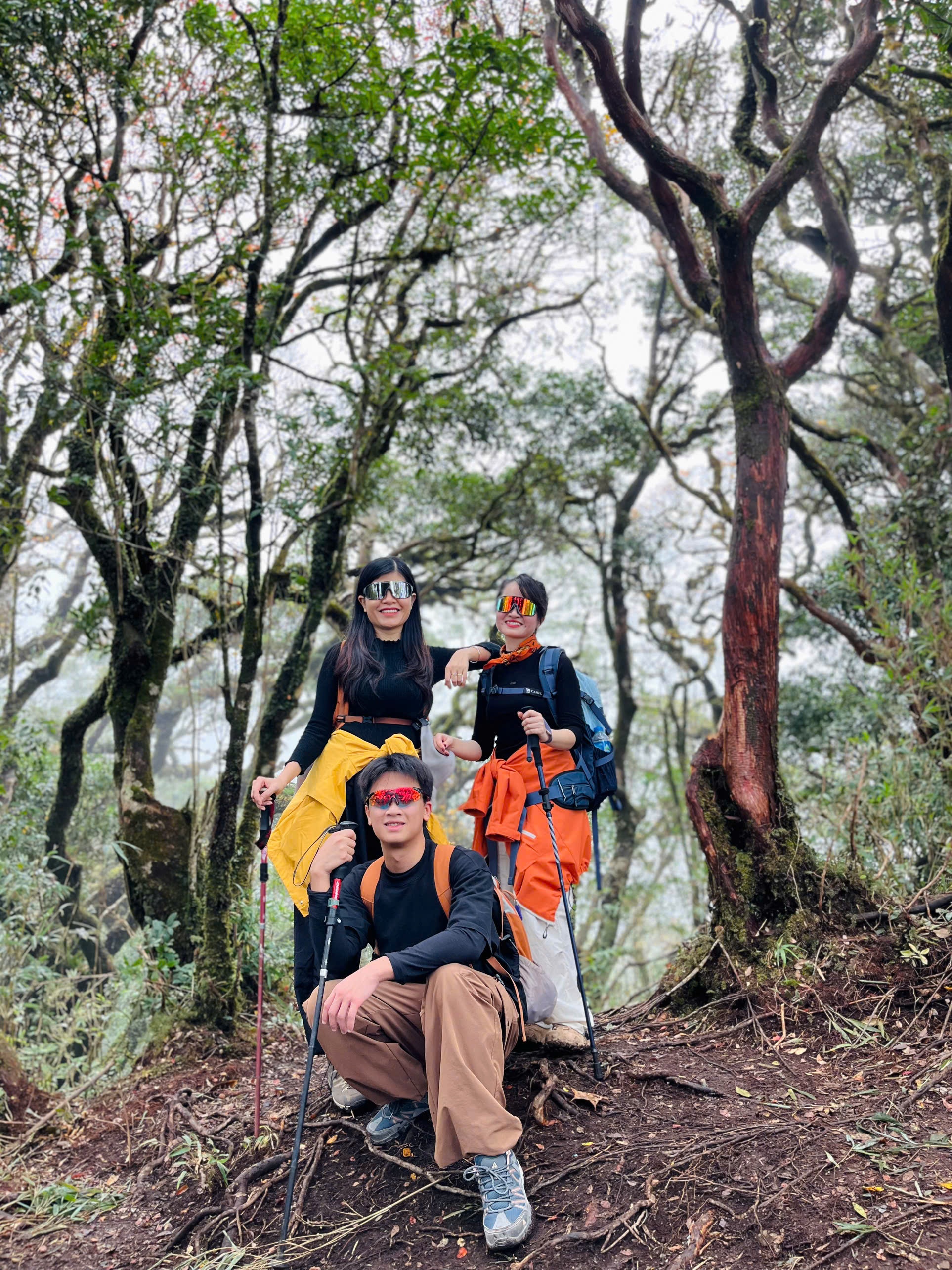 Phu Sa Phìn, trekking ảnh 3 Phu Sa Phin, trekking anh 3
