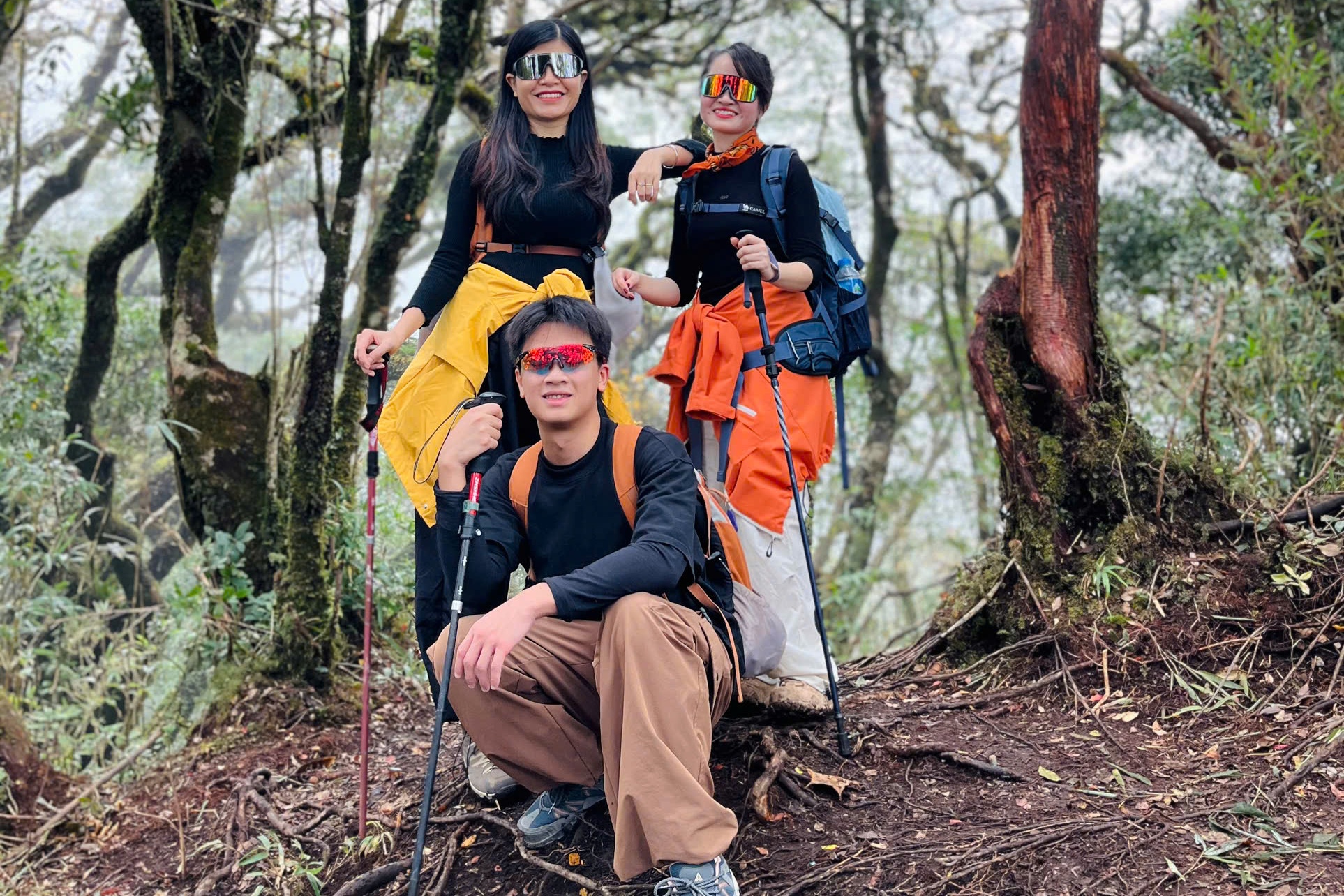 Canh nghi trua nhu 'di cho phien' vung cao tren cung trekking Phu Sa Phin hinh anh