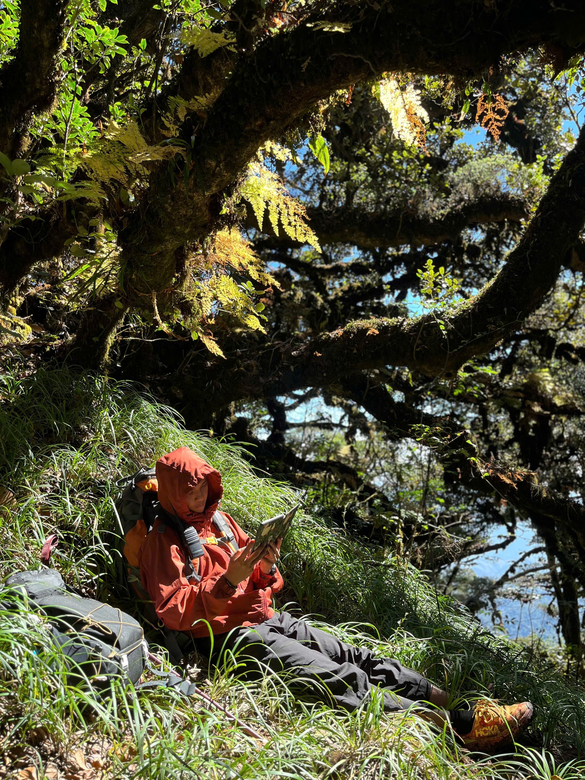 Phu Sa Phìn, trekking ảnh 4 Phu Sa Phin, trekking anh 4