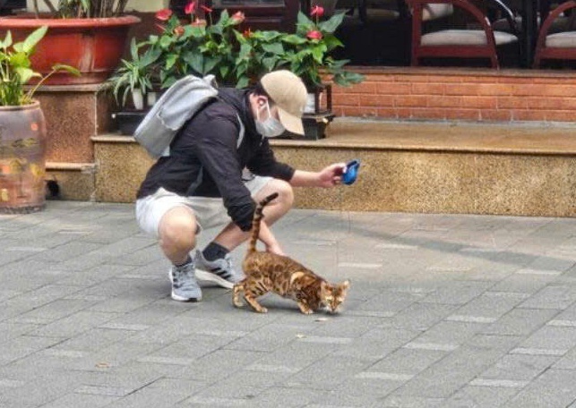 Faker va T1 gay sot khi an pho, dao Ho Guom hinh anh