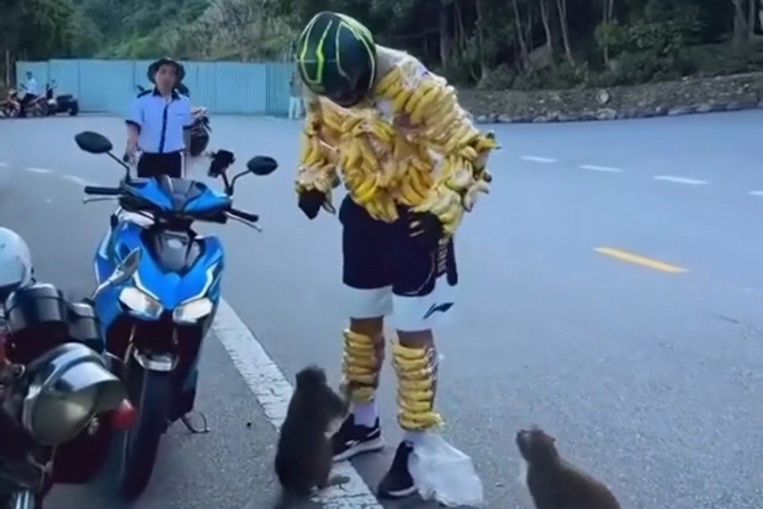 Khach Tay mang 'ao giap chuoi' cho khi an tren ban dao Son Tra hinh anh