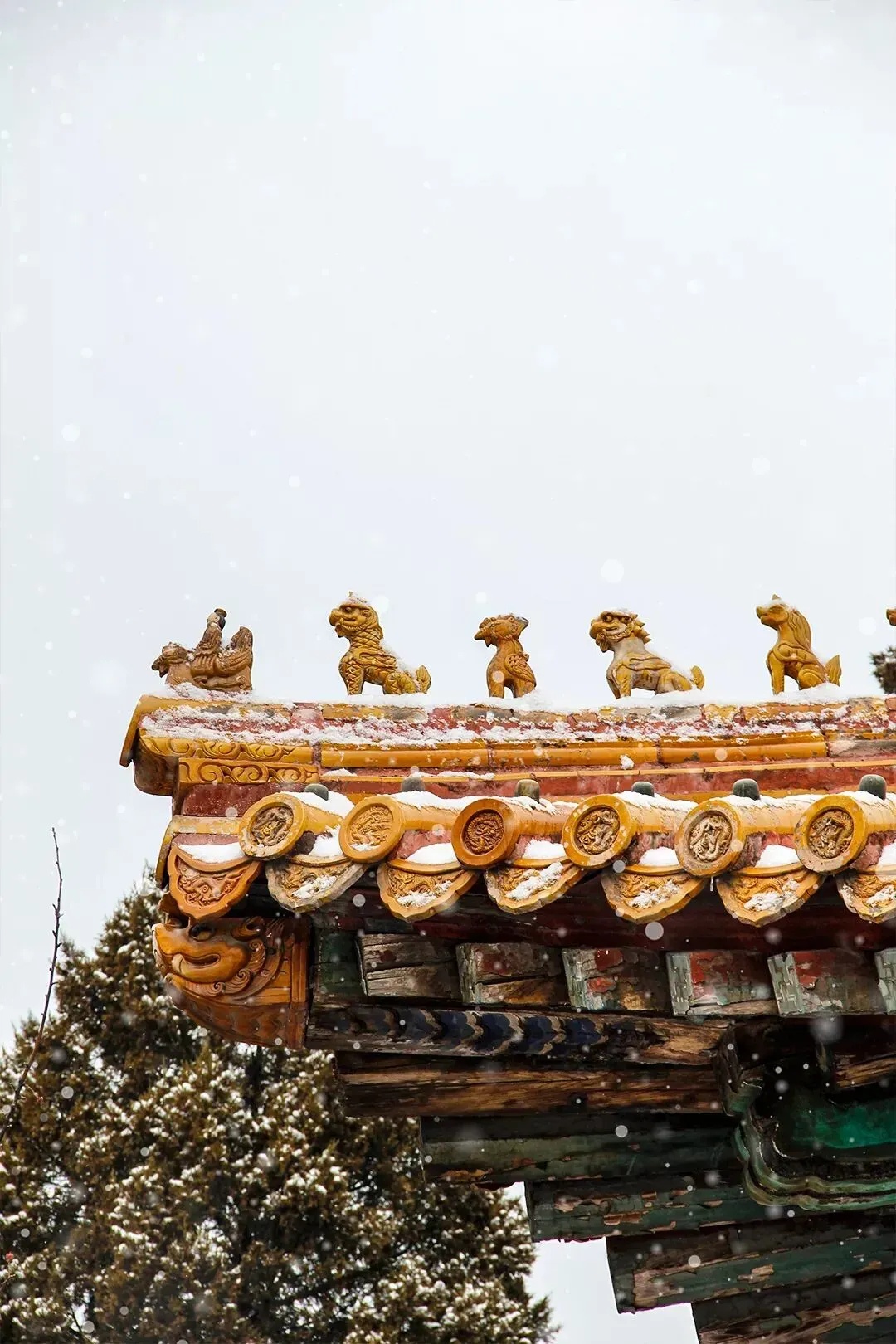 tuyet,  Tu Cam Thanh anh 4